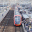 Московские центральные диаметры заработали в тестовом режиме - Городской округ Мытищи