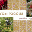 Жителей Подмосковья призвали поддержать местные ягоды на конкурсе «Вкусы России» - MytischiRIAMO.Ru