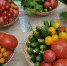 сельскохозяйственная продукция - Газета Родники