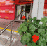 imgonline-com-ua-Frame-blurred-hDNIEoOrJv - Сетевое издание Неделя в округе