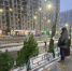 Продавца елок в Мытищах привлекут к ответственности за незаконную торговлю - Regions.Ru