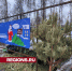 Мытищинцев просят освобождать новогодние деревья от пленки при сдаче в пункты - Regions.Ru