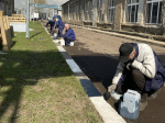 Жителей Мытищ приглашают на Всероссийский субботник