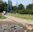 Власти Мытищ потребуют от подрядчика восстановить тротуары в Химгородке - Regions.Ru