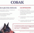 -_- - Сетевое издание Неделя в округе