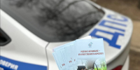 Сотрудники полиции будут выявлять пьяных водителей во время ноябрьских рейдов - Regions.Ru