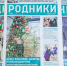 IMG_2700-3 - Сетевое издание Неделя в округе